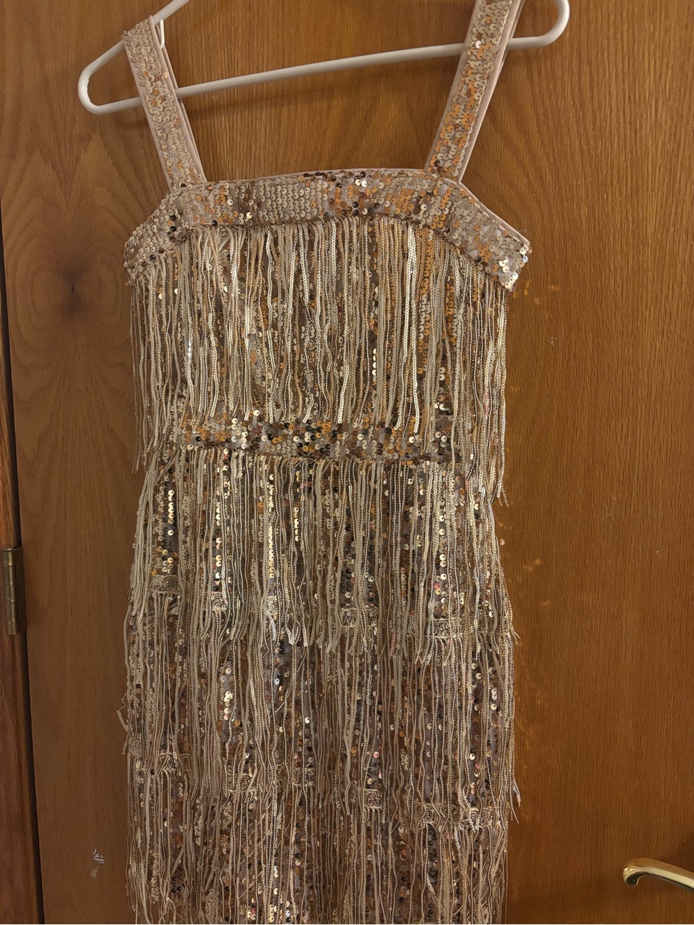 Gold Fringe Sparkly Dress | PeriAddict | Brand New with Tag